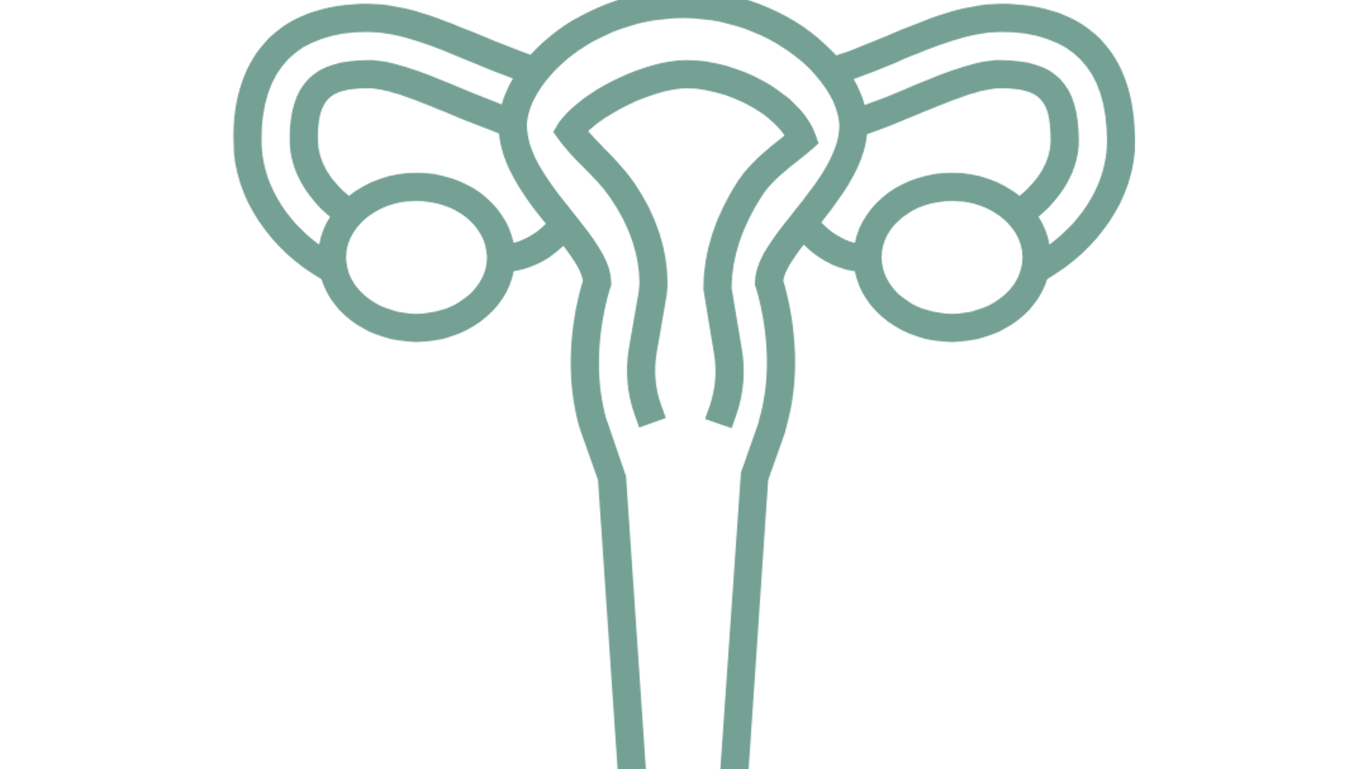 Uterus