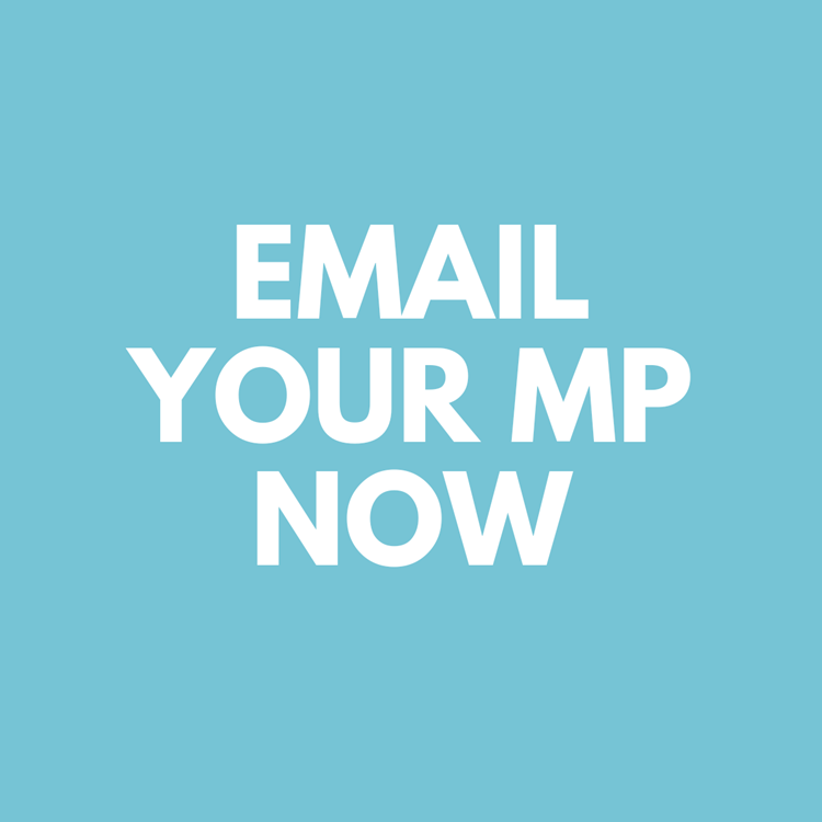 Email your MP